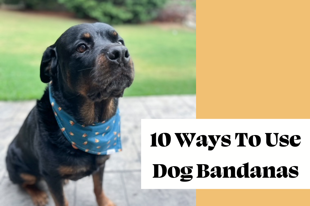 Unique dog bandanas deals